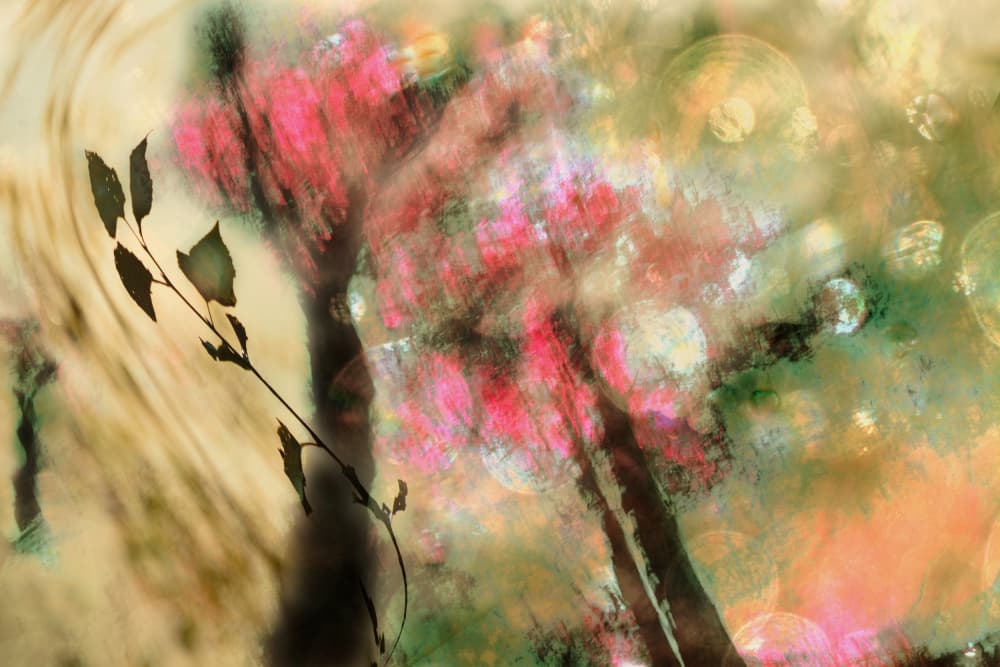 Dreamy Pink Foliage by Christina Sillen — canvas wall art