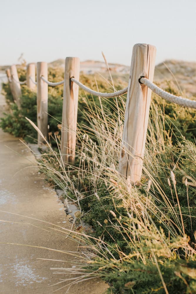 Coastal Dune Path by Claudia Casal — canvas wall art