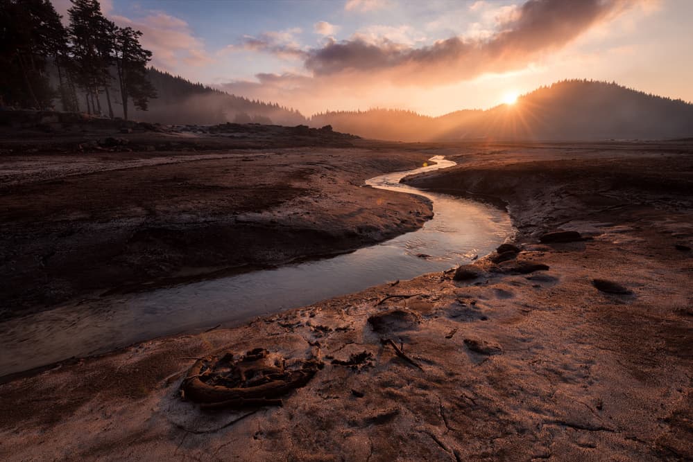 Misty Morning River by Milen Dobrev — canvas wall art