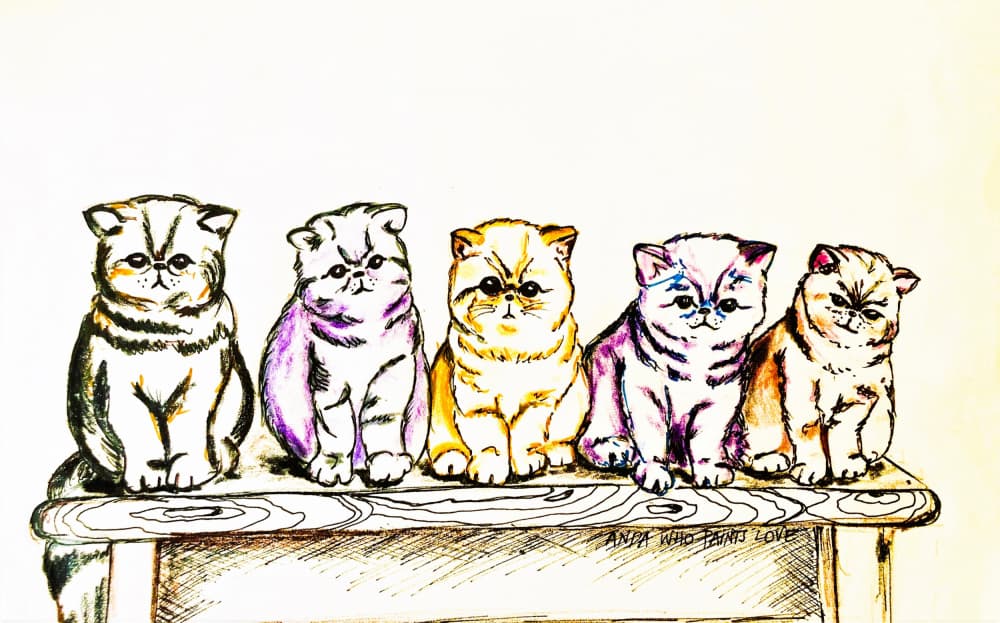 Five Colorful Kittens by Anda Bieza — canvas wall art