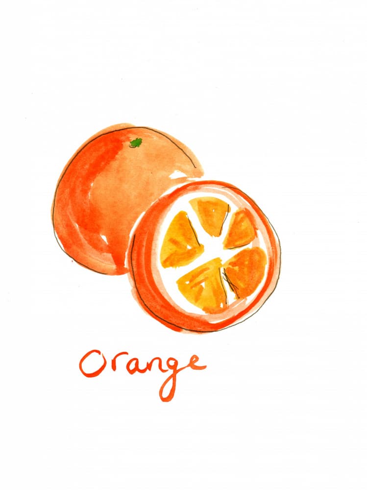 Juicy Orange Watercolor by Christine Lindstrom — canvas wall art