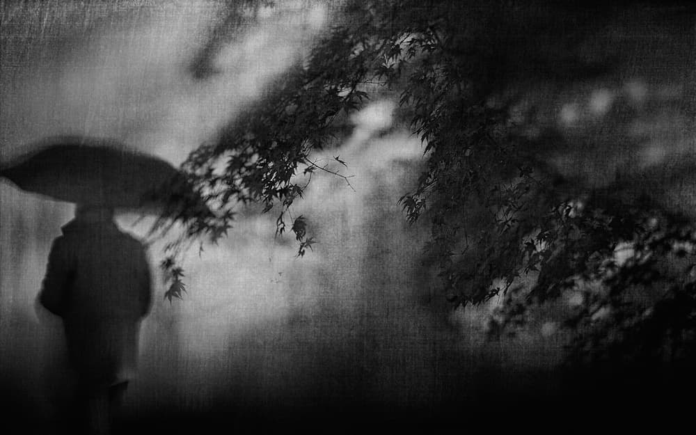 Solitary Rainy Walk by Teruhiko Tsuchida — canvas wall art