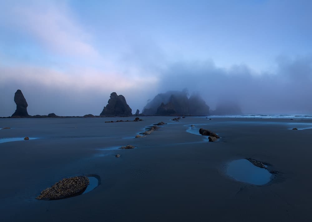 Misty Beach Seascape by Dani BS. — canvas wall art