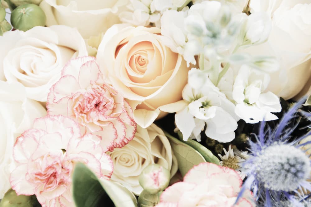 Soft Floral Bouquet by Jemma Morris — canvas wall art