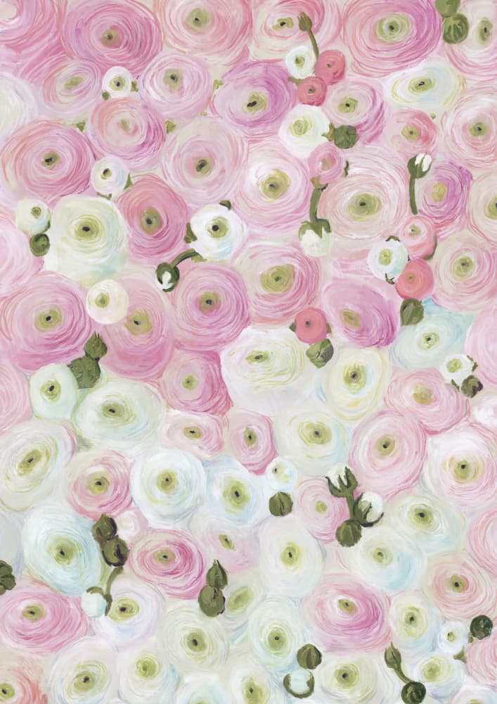 Soft Pink Ranunculus Blooms by Rosana Laiz Blursbyai — canvas wall art