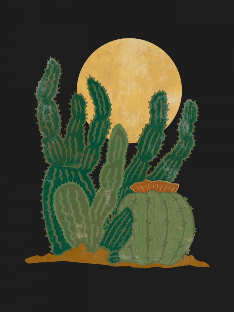 Cacti Under Golden Moon by Nikita Jariwala — canvas wall art