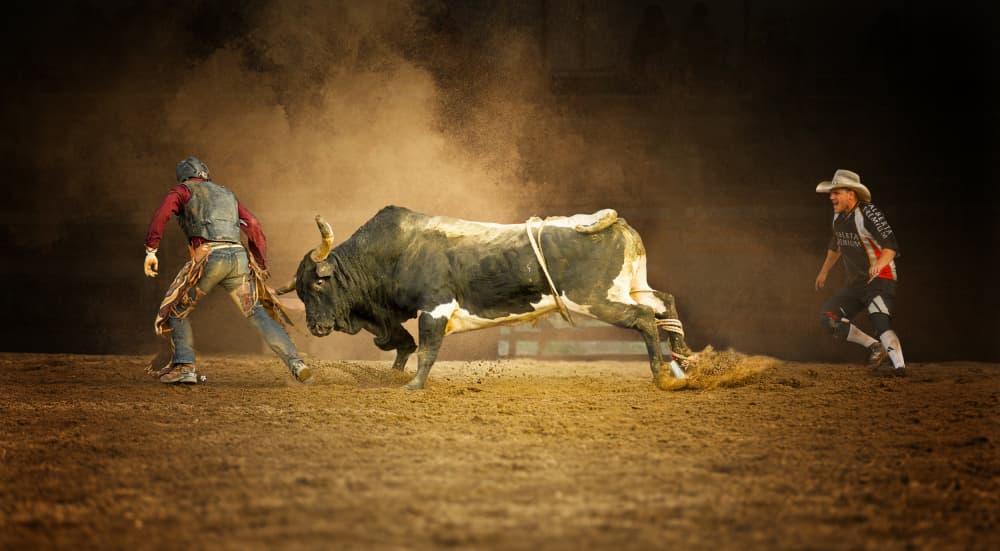 Rodeo Bull Action by Molly Fu APA — canvas wall art
