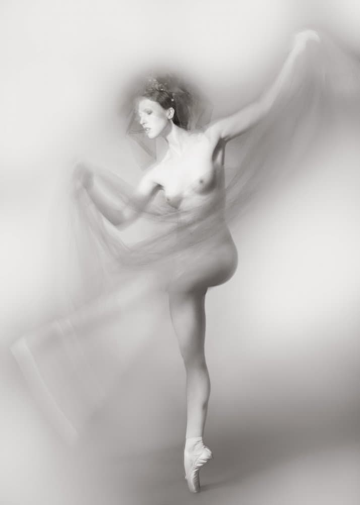Ballet II by miriana — canvas wall art