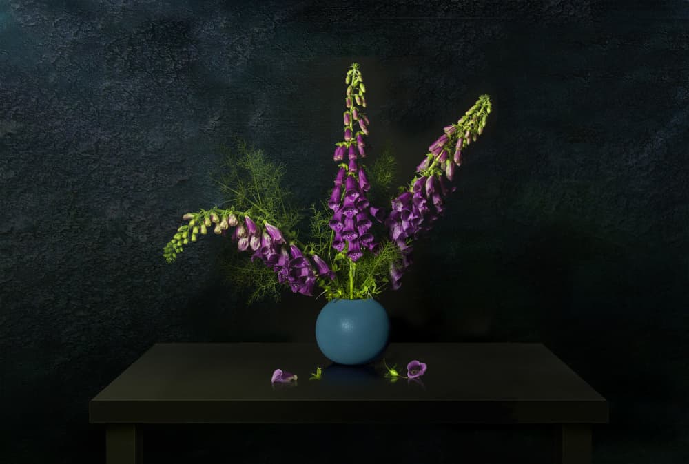 Purple Foxglove Still Life by Juan Antonio Palacios — canvas wall art