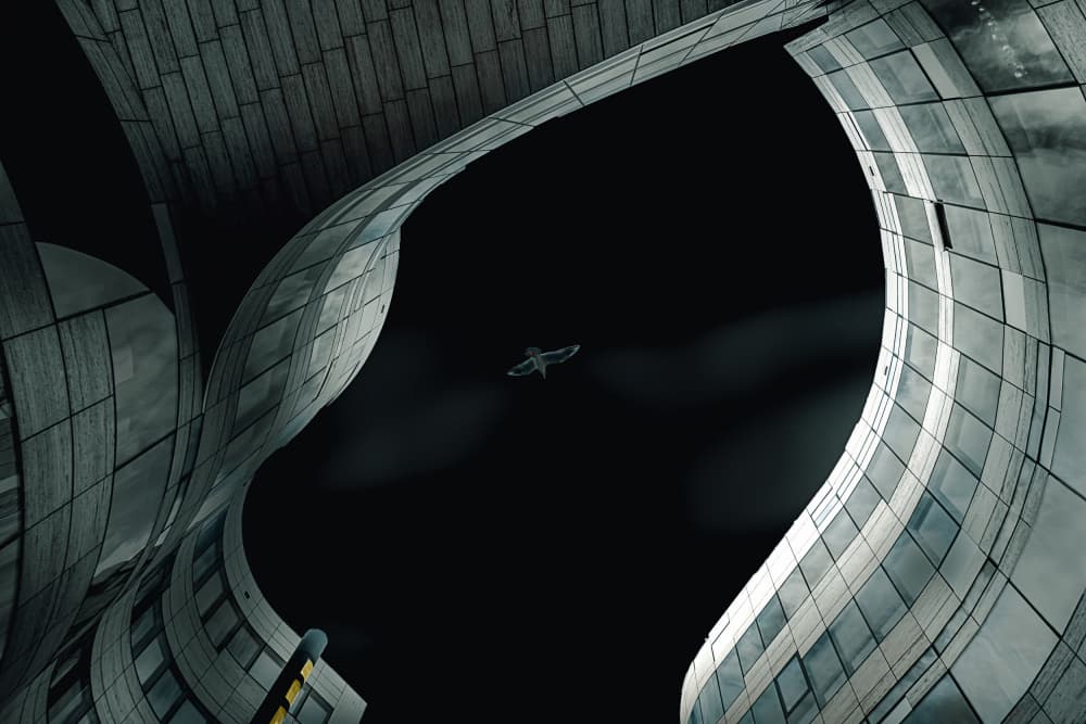 Architectural Bird Sky by Stephan Rückert — canvas wall art