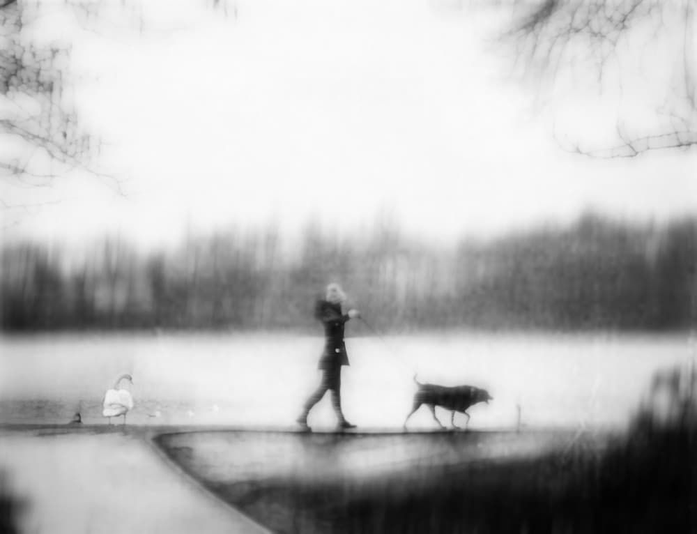 Dreamy Lakeside Walk by Amer Jassim — canvas wall art