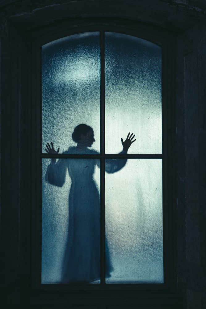 Mysterious Woman in Window by Magdalena Russocka — canvas wall art