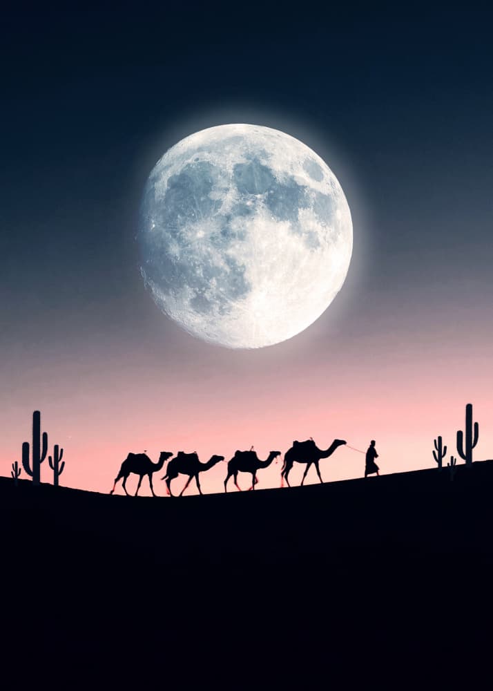 Moonlit Desert Journey by Ariz Rab — canvas wall art