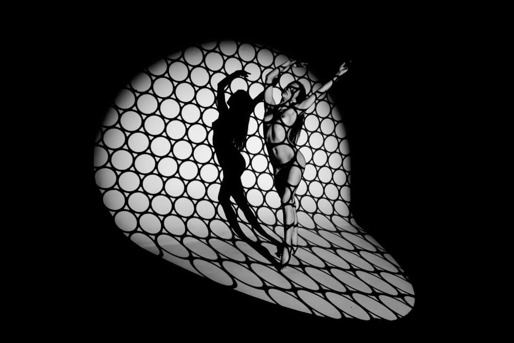 Shadow Dance Circles by Joan Gil Raga — canvas wall art