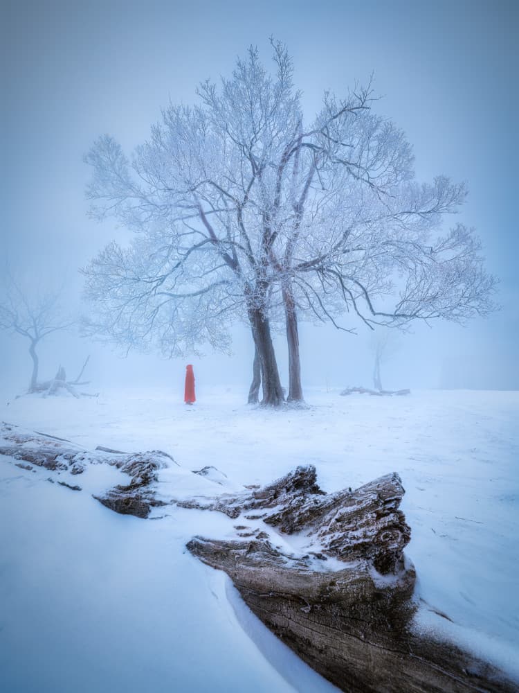 Red Amidst Winter Fog by Yuan Cui — canvas wall art