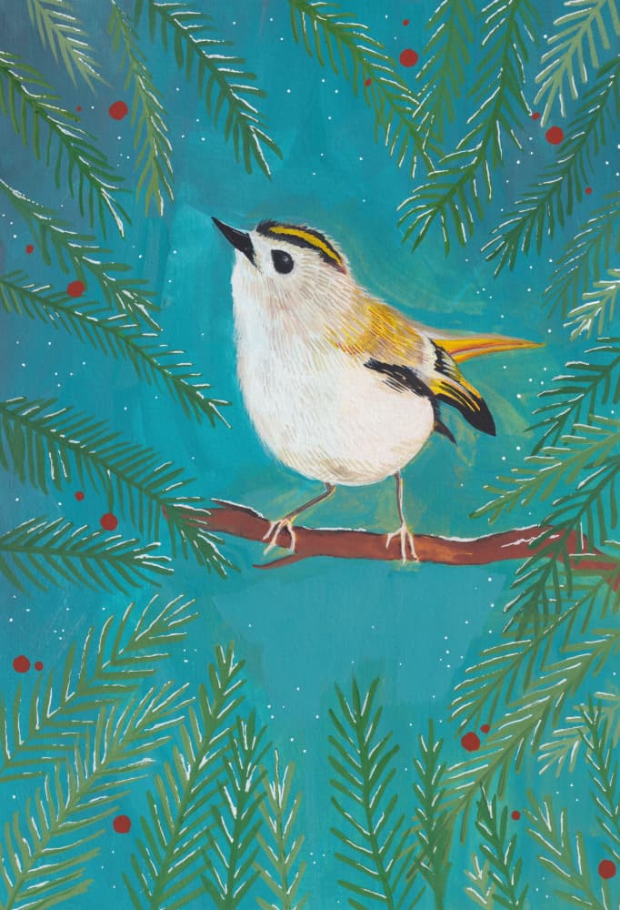 Goldcrest bird sitting in a tree by Anjana Mistry — canvas wall art