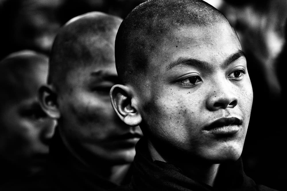 Young Monk's Pensive Gaze by Giovanni Cavalli — canvas wall art
