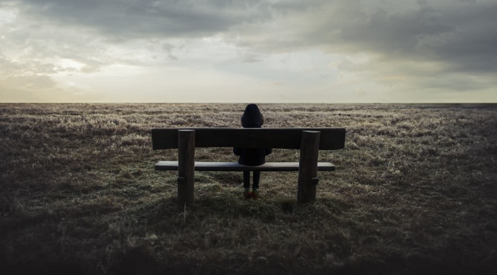 Vast Open Field Solitude by Wim Schuurmans — canvas wall art