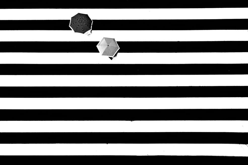 Umbrellas on Stripes by Makoto Nishikura — canvas wall art
