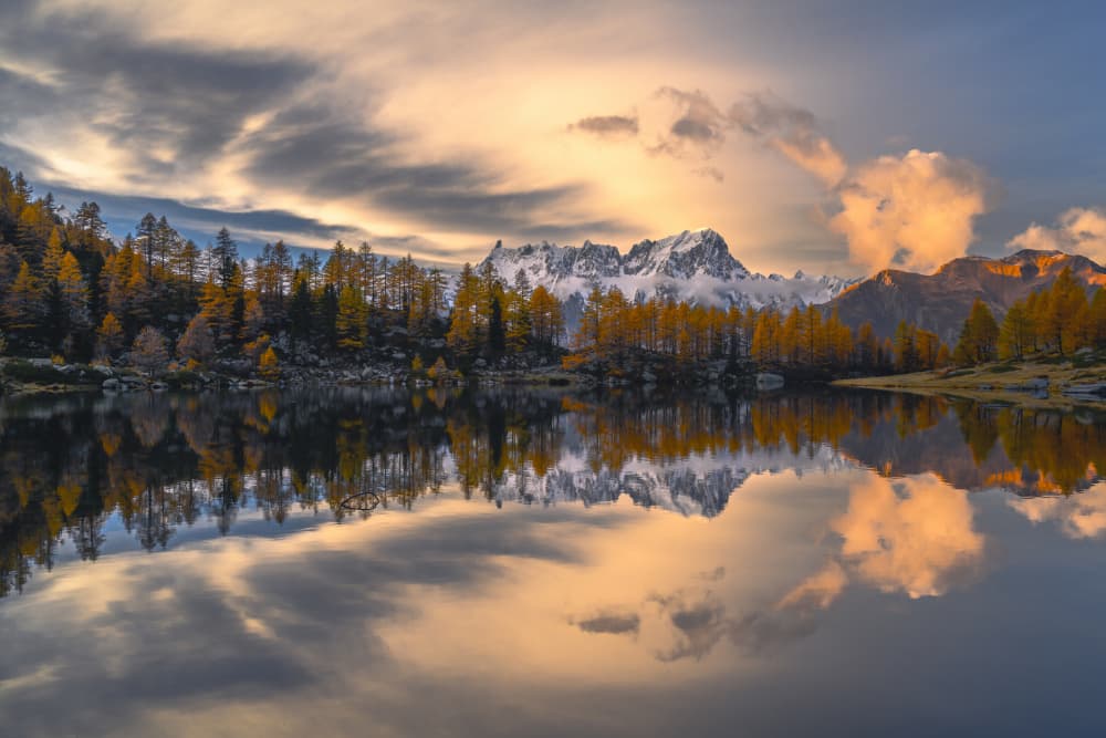Golden Larch Lake Reflection by Franco Ameli — canvas wall art