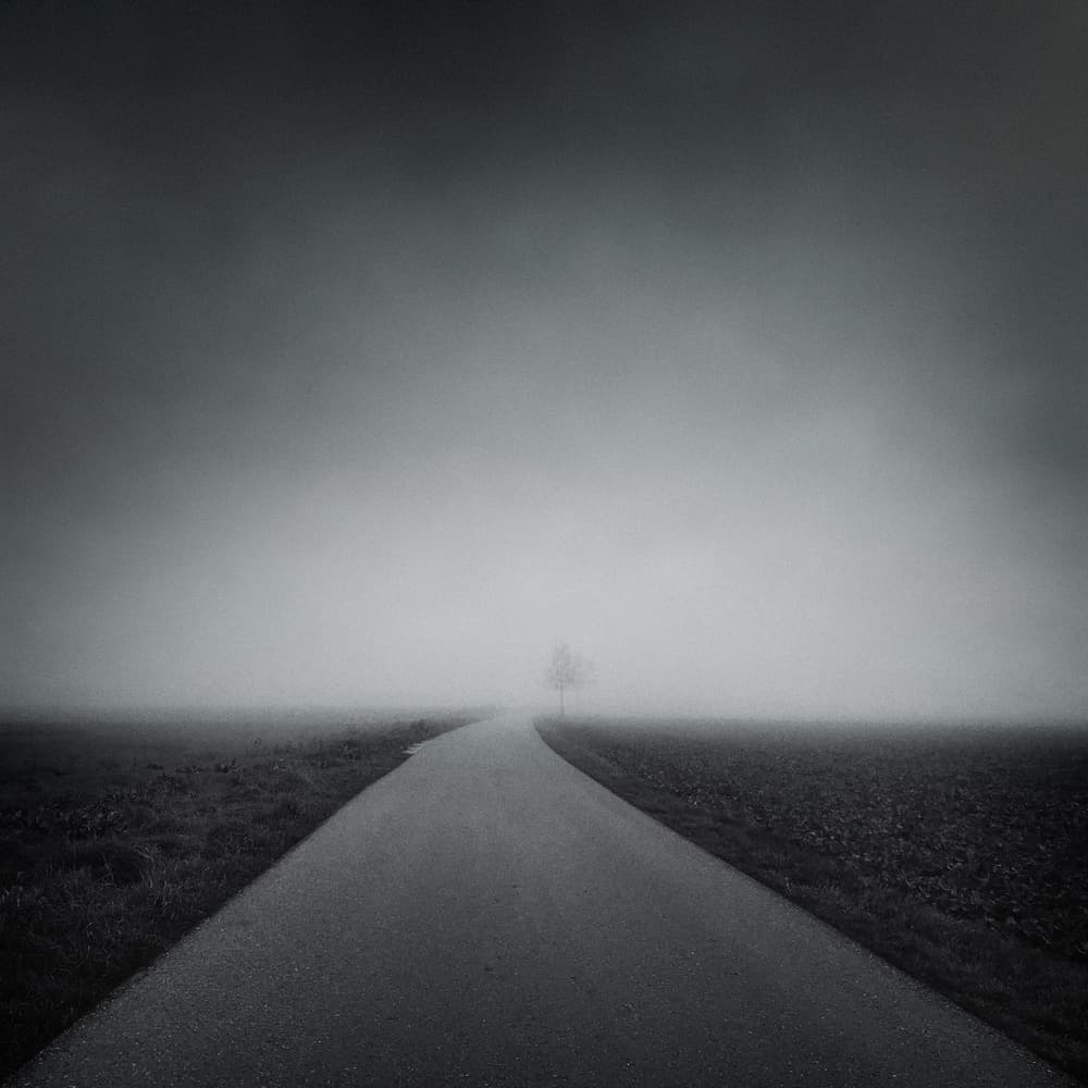 Road Into The Mist by Alexej Schulz — canvas wall art