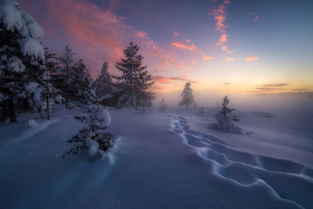 Winter Pink Sky Path by Ole Henrik Skjelstad — canvas wall art