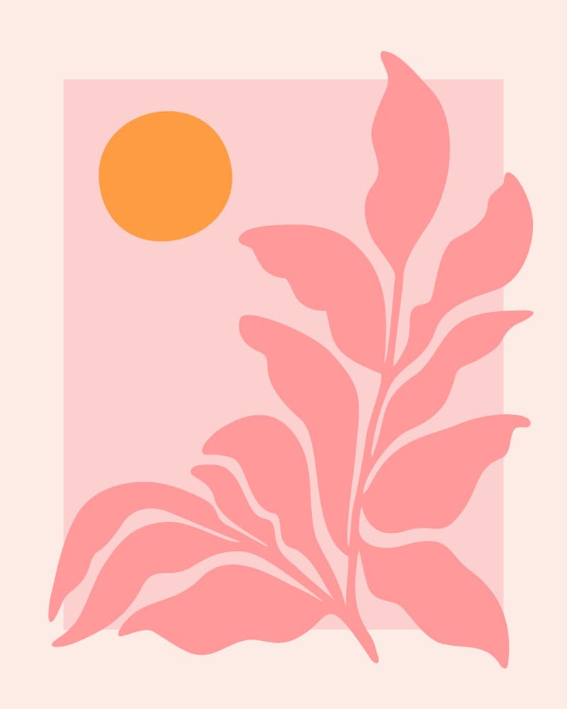 Sunny Pink Garden by Kristian Gallagher — canvas wall art