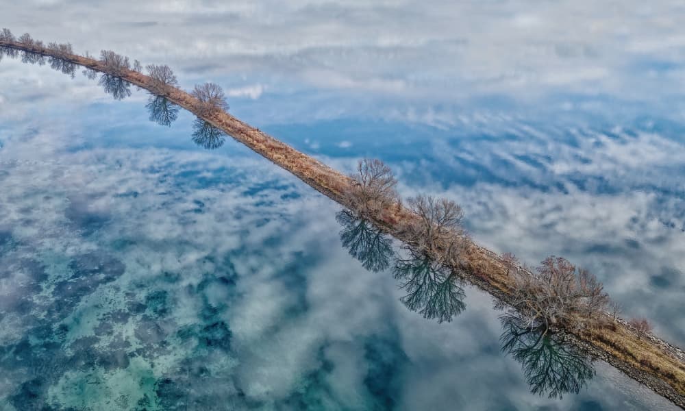 Reflecting Winter Path by Lucie Gagnon — canvas wall art