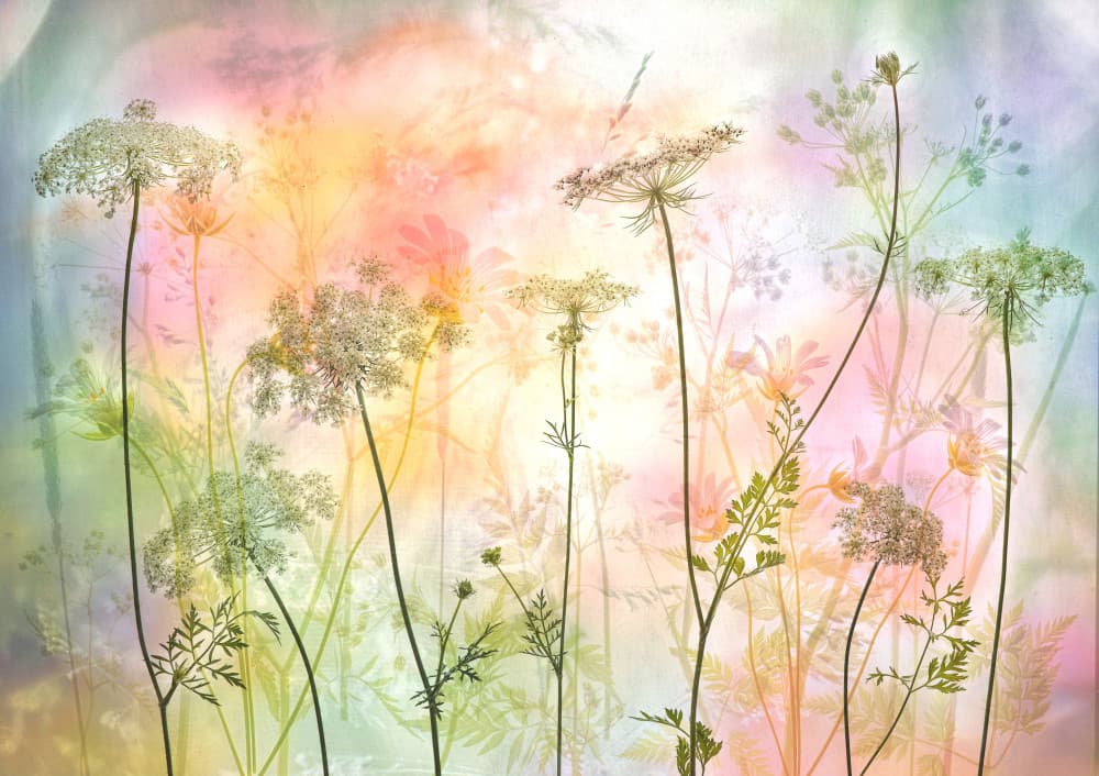 Ethereal Pastel Wildflowers
