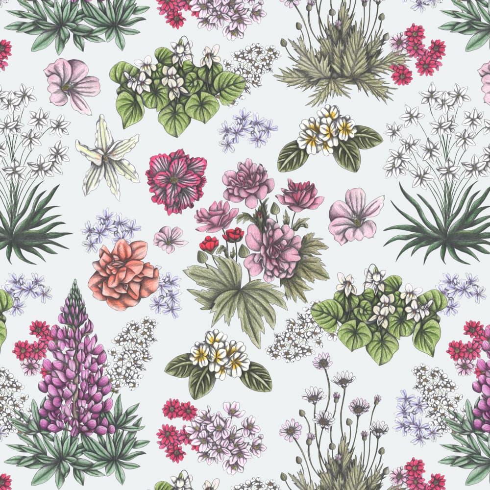 Vibrant Floral Collection by Cecilia Battaini — canvas wall art