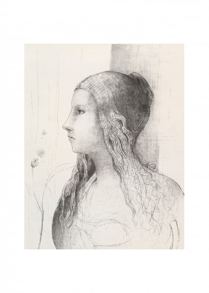 Brunnhilde by Odilon Redon — canvas wall art