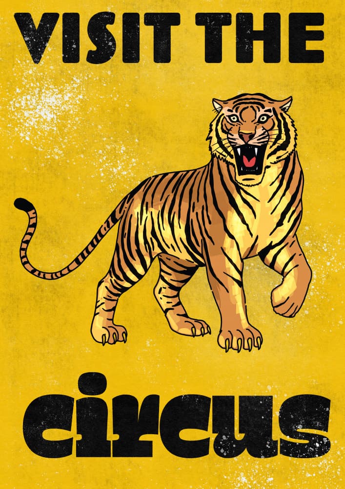Roaring Circus Tiger by Nicholas — canvas wall art