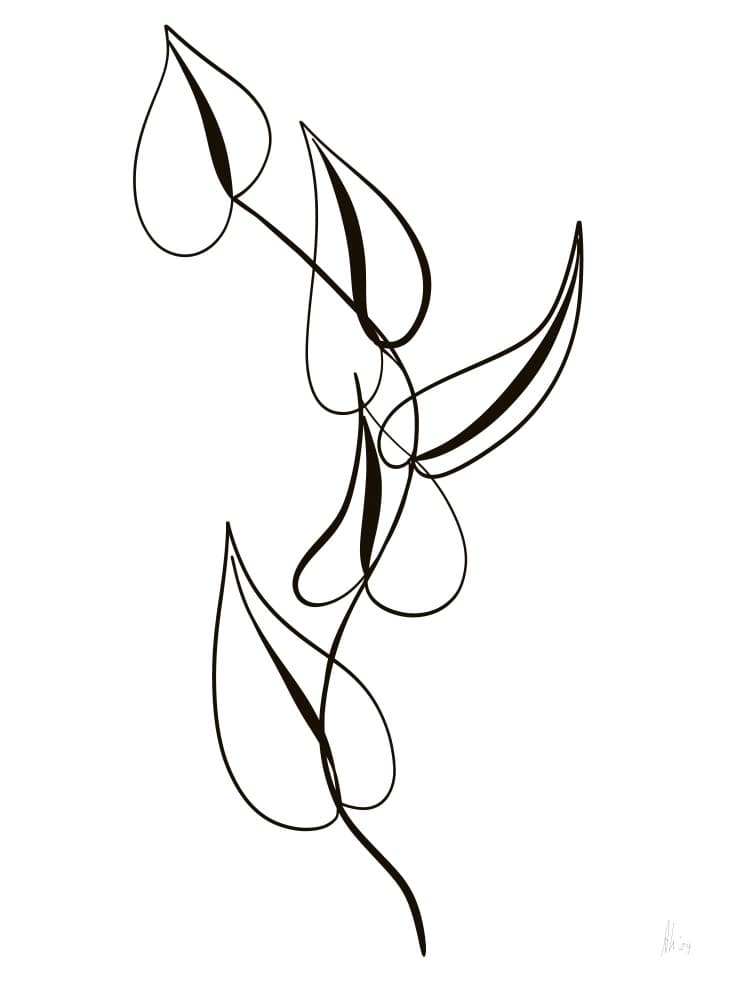 Minimalist Botanical Lines by Ankie Kooi — canvas wall art