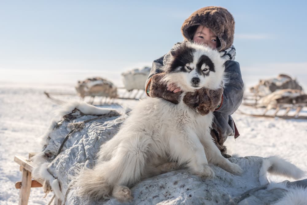 Northern Child and Dog by Andrey Snegirev — canvas wall art