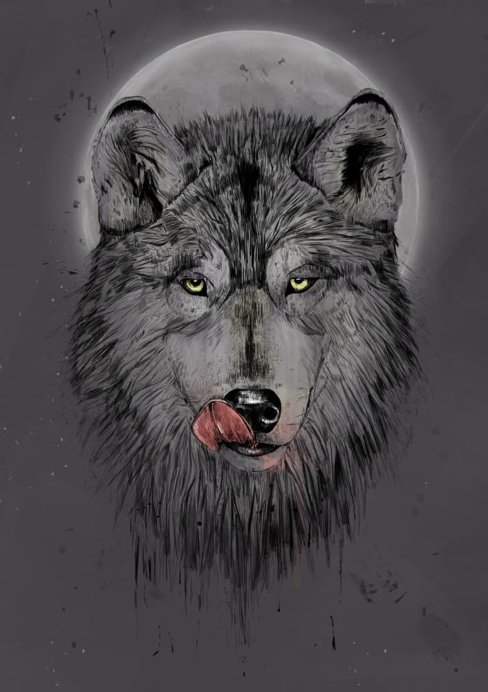 Wild Wolf Moon by Balazs Solti — canvas wall art