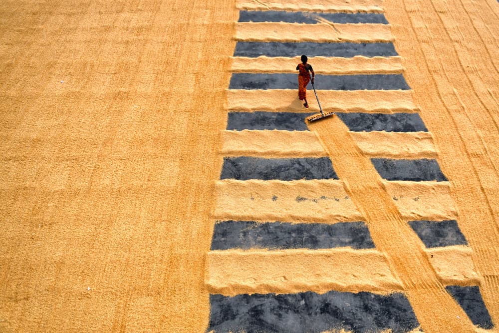 Line Work by Avishek Das — canvas wall art