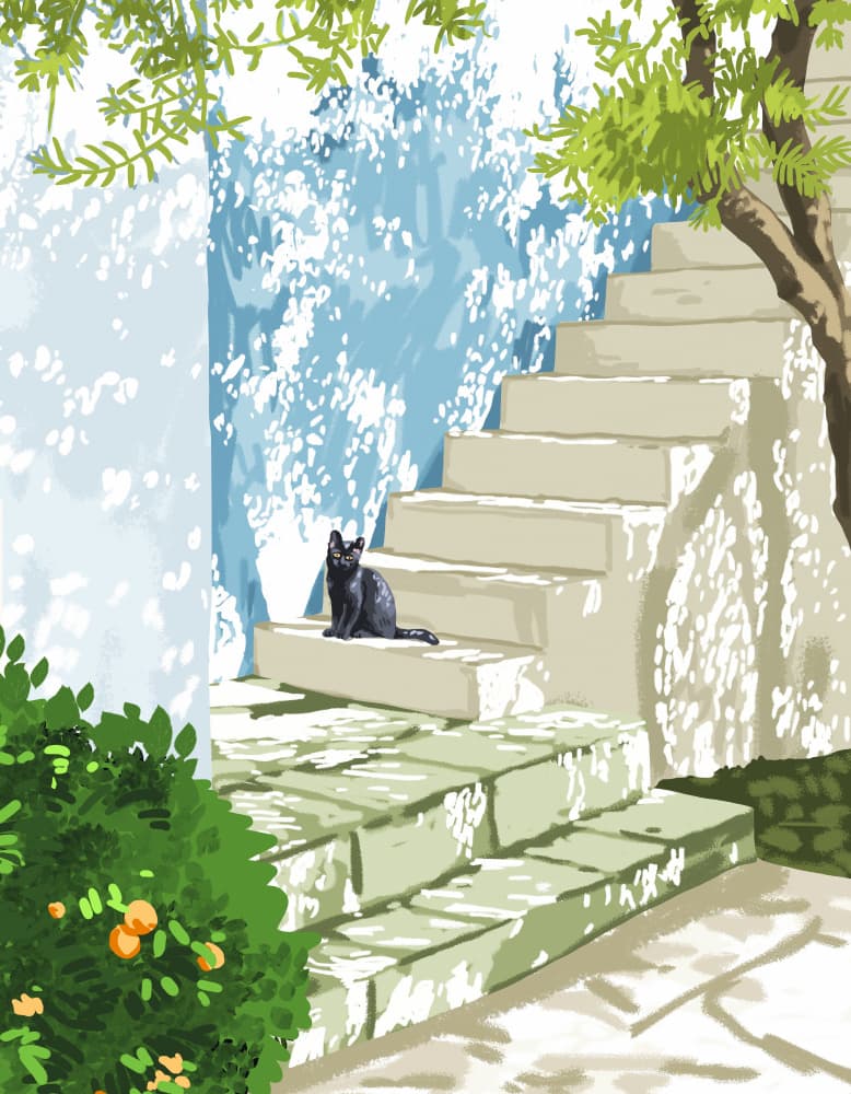 Black Cat Sunny Steps by Uma Gokhale — canvas wall art