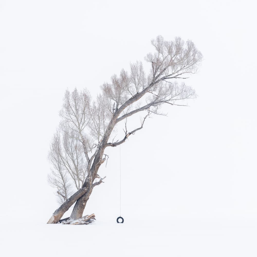 Winter Tree Swing by Mei Xu — canvas wall art
