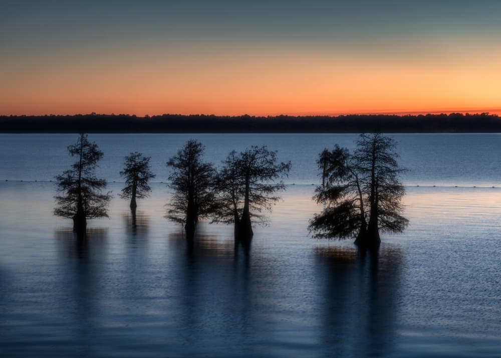 Cypress Lake Sunset by Willa Wei — canvas wall art