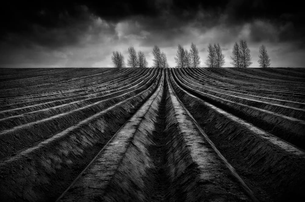 Stormy Field Perspective by Marc Apers — canvas wall art