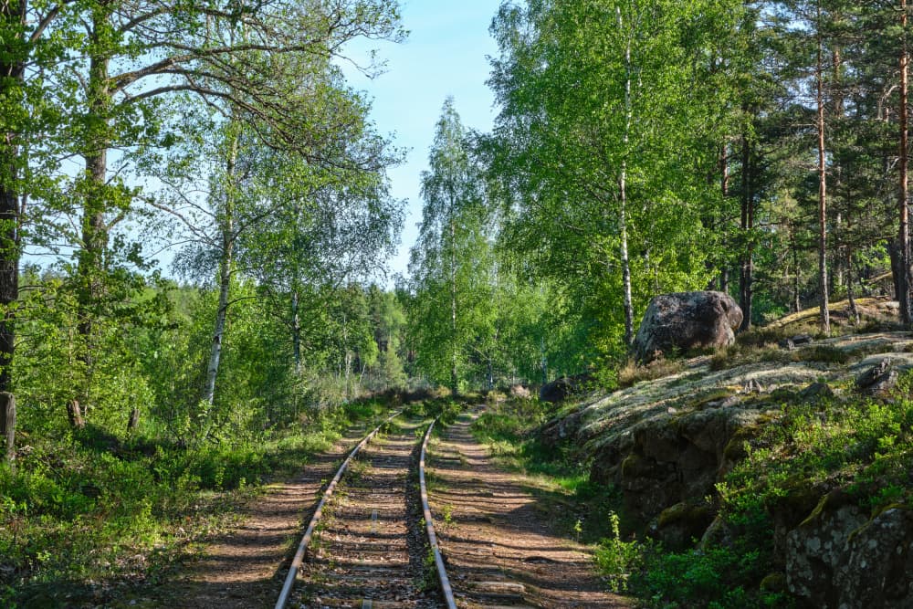 Serene Forest Railway by Geertjan Plooijer — canvas wall art