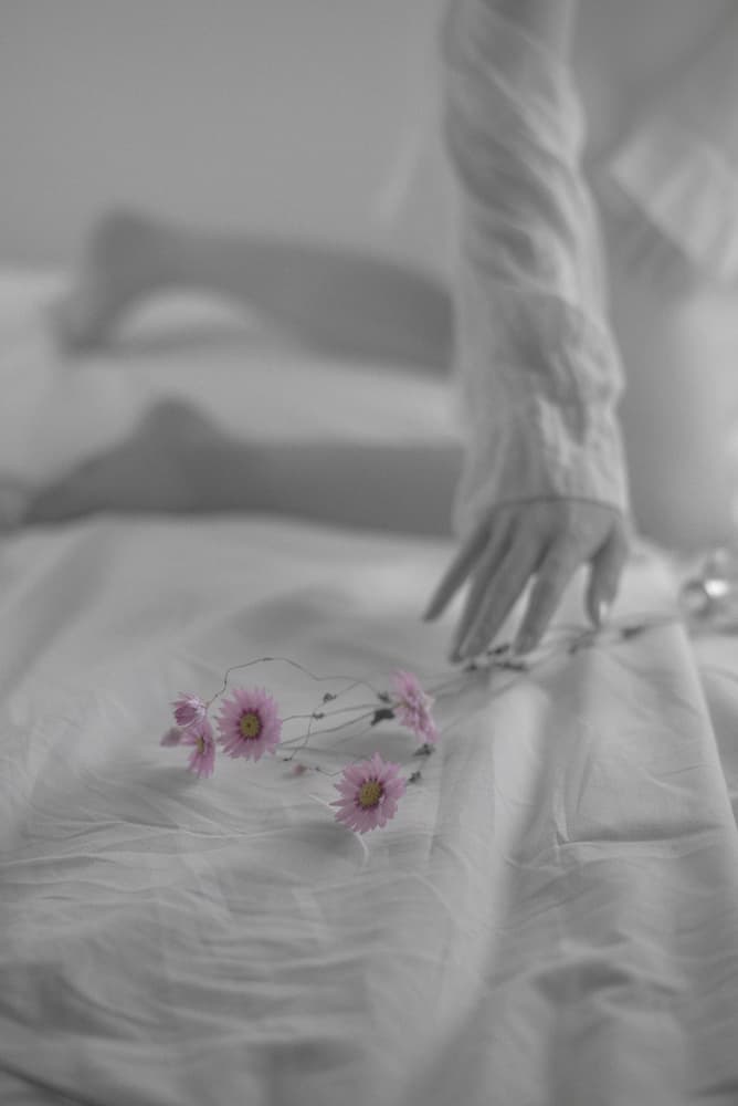 Soft Touch Pink Flowers by Eddie Wetton — canvas wall art