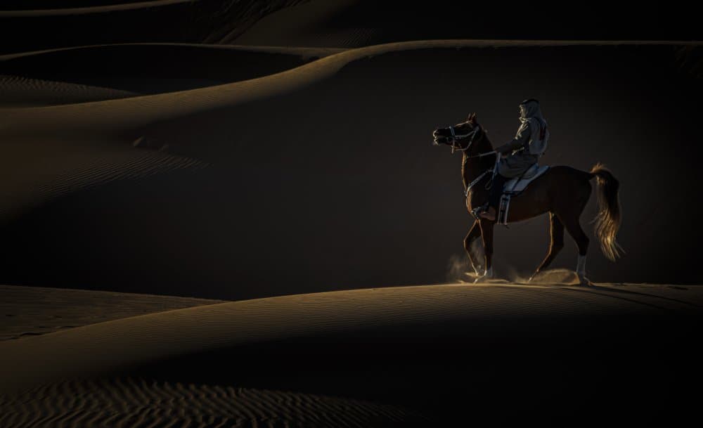 Golden Desert Horseman by Yomn Almonla 🇸🇦 — canvas wall art