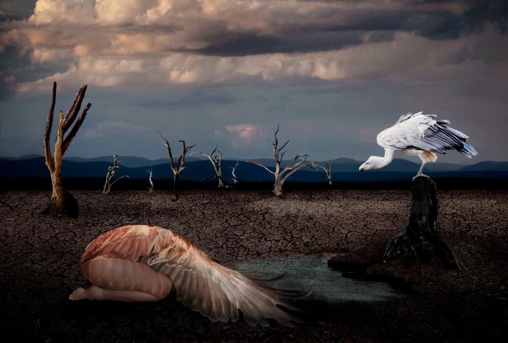 Winged Woman Desolate Earth by Jan Donckers — canvas wall art