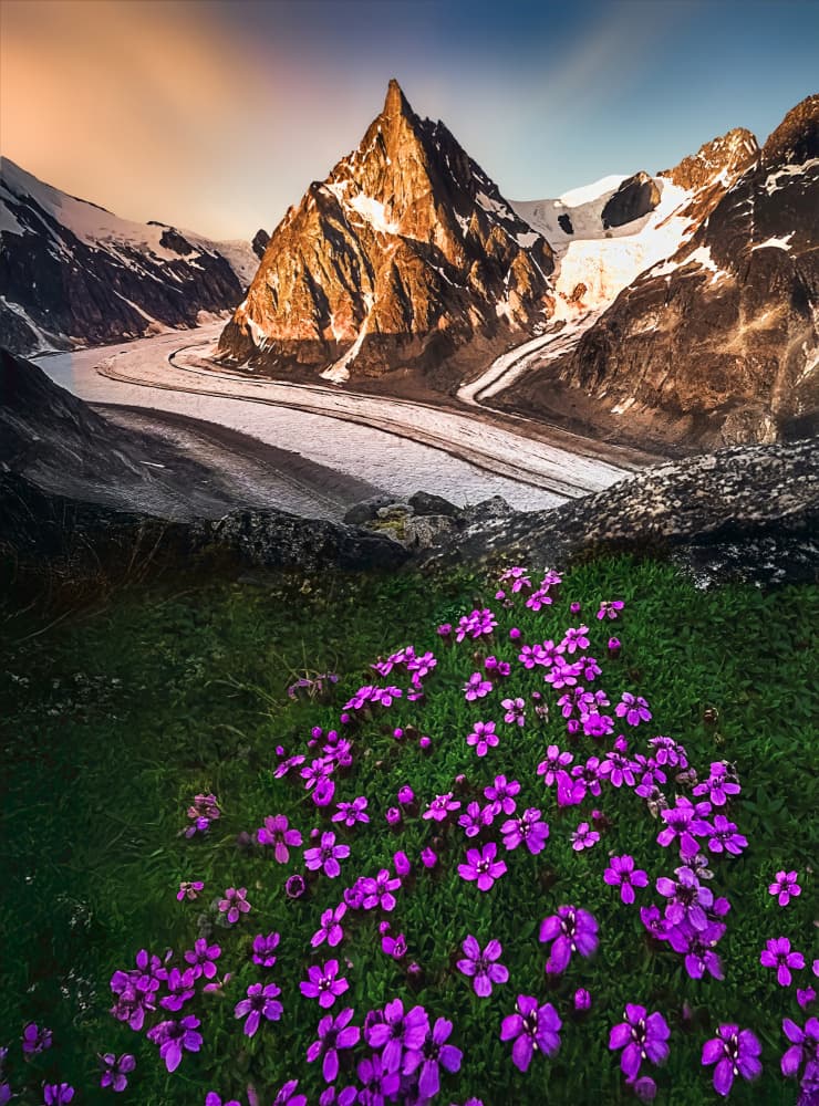 Glacier Mountain Flowers by Siyu_Wei APA — canvas wall art