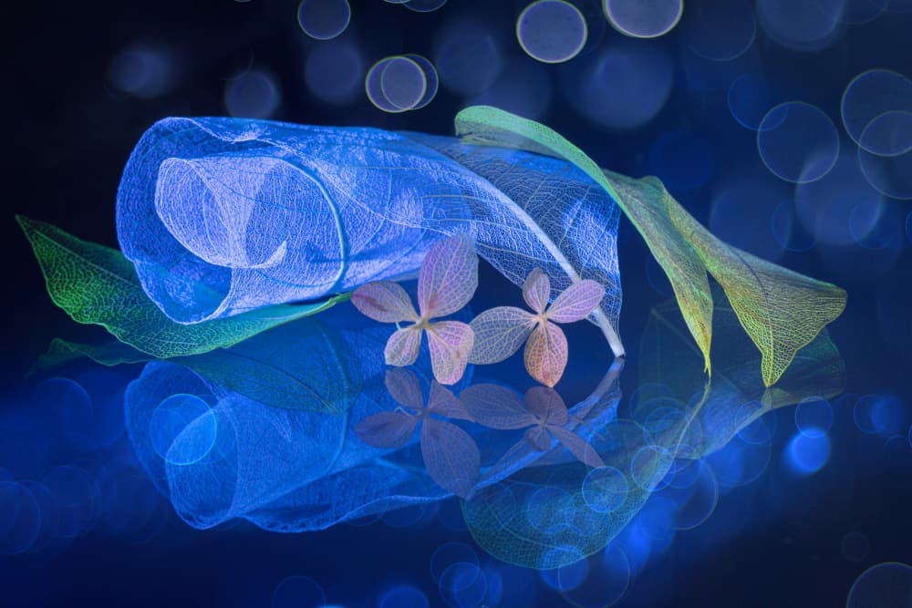Ethereal Blue Leaves by Igor Kopcev — canvas wall art