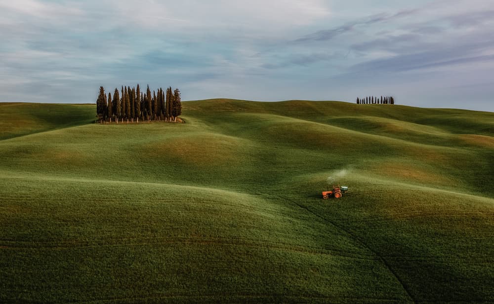 Tuscan Rolling Fields by Stefan Miron — canvas wall art