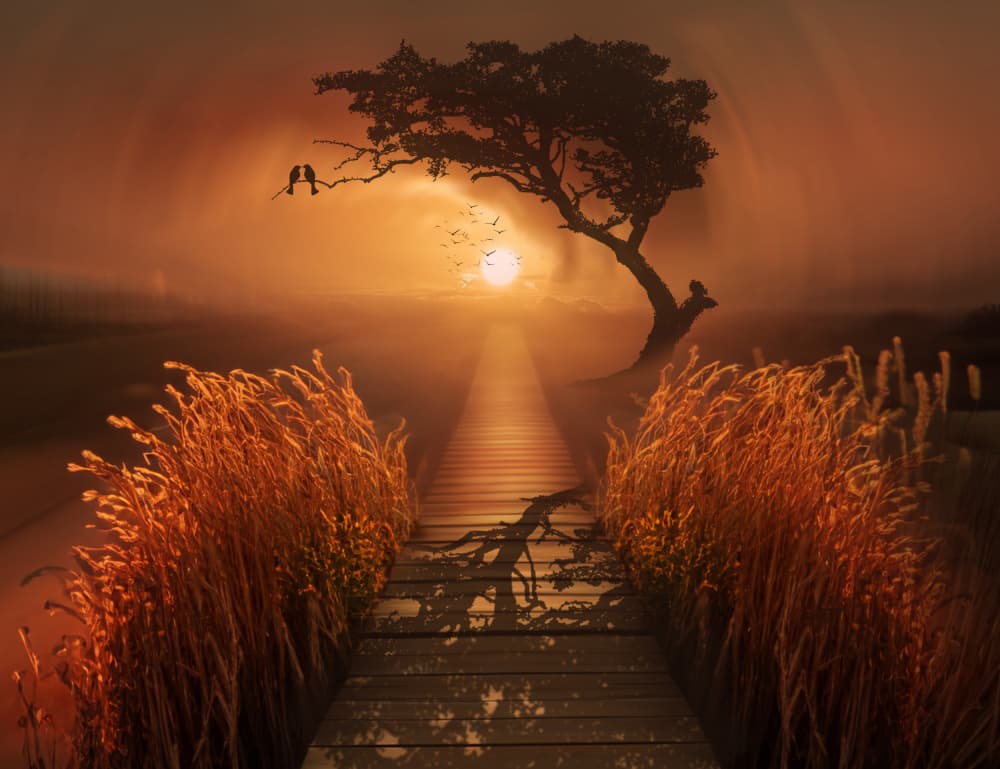 Romantic Sunset Path by Nikki Georgieva V E G A N I K — canvas wall art