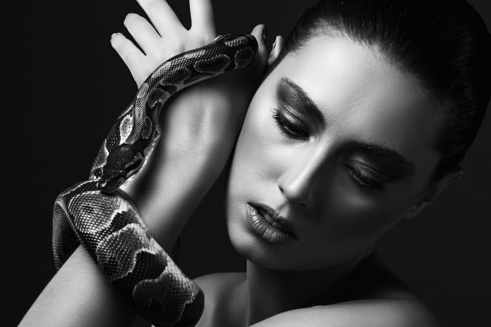 Sensual Python Embrace by Fren Hendrik — canvas wall art