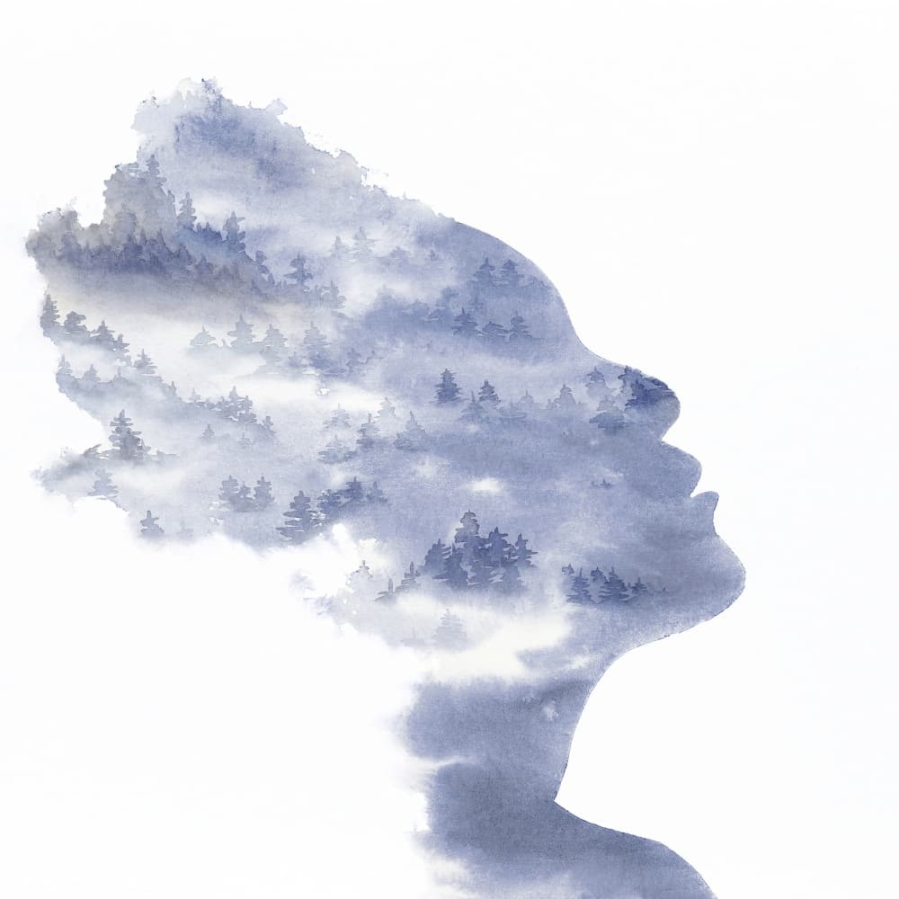 Serene Forest Silhouette by Natalie Bruns — canvas wall art